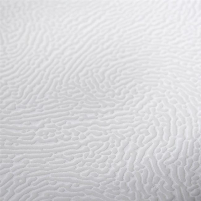 Piatto pasta bowl segmenti bianco cm.26,5