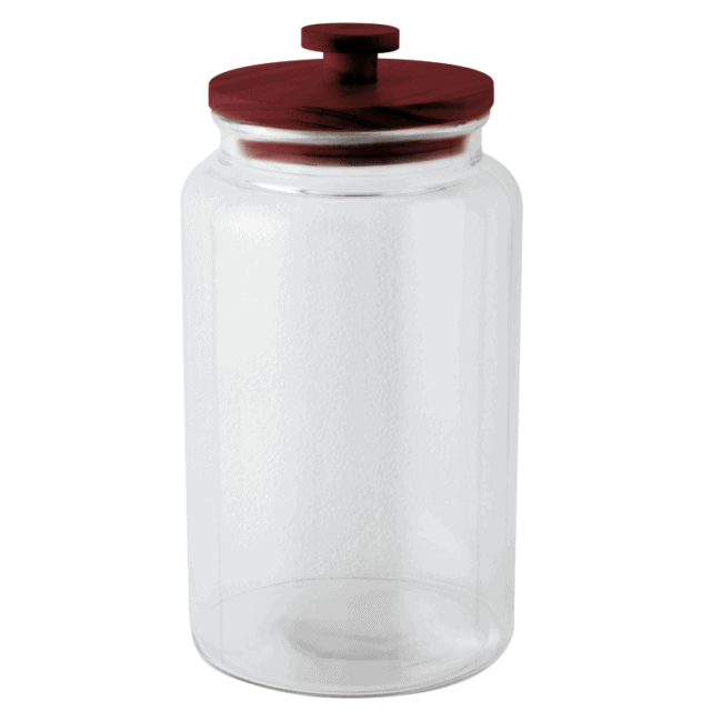 Barattolo cereali/biscotti con guarnizione silicone radici lt.4,1